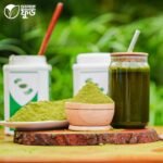 Moringa Powder