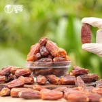 মরিয়ম খেজুর