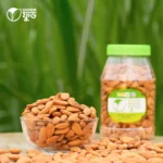 কাঠবাদাম