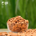 কাঠবাদাম