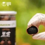 ব্লাক গার্লিক Black Garlic